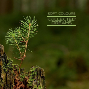 狂躁欧美肥臀大BBBB
